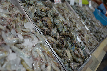 King size shrimps