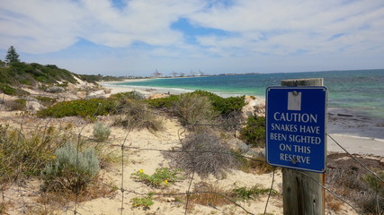 A caution sign above the dunes at Cottesloe beach warns about the danger of snakes - Perth, Western Australia, Australia