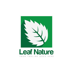 line leaf logo and icon Vector illustration design Template