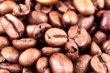 roasted coffee grains. Macro shot
