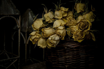 The beautiful Easter flowers