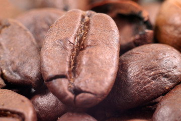 coffee roasted grains macro shot