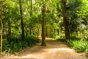 Fototapeta premium SÃO PAULO - PARQUE DA INDEPENDÊNCIA - MUSEU DO IPIRANGA