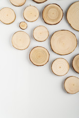 Pine tree cross-sections with annual rings on white background. Lumber piece close-up shot, top view.