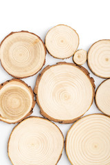 Pine tree cross-sections with annual rings on white background. Lumber piece close-up shot, top view.