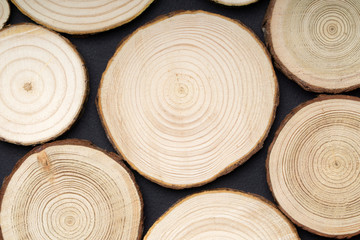 Pine tree cross-sections with annual rings on black background. Lumber piece close-up shot, top...