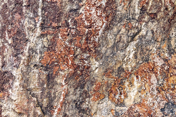 stony uneven brown-red texture with scratches and sand