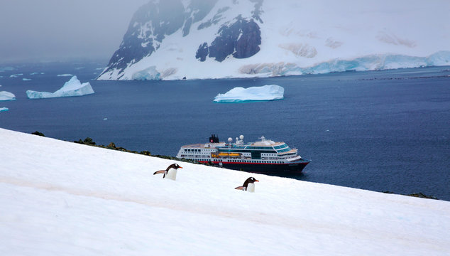 MS Midnatsol mit Pinguin