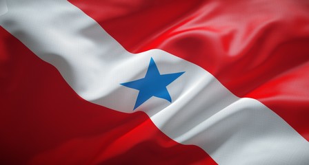 Bandeira oficial do Pará. - obrazy, fototapety, plakaty