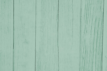 Fototapeta premium Weathered light green textured wood background