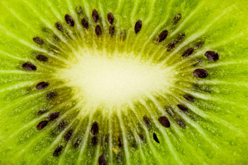 green kiwi texture as background