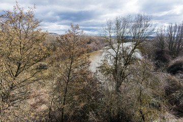 river with vegetation on the river bank