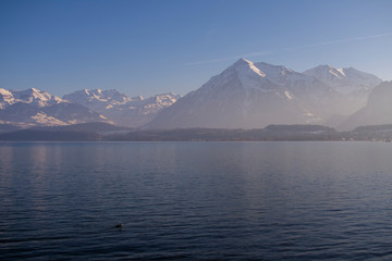 Lake Thun, Alps, Warm spring day, sky