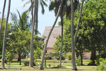 seychelles private island beach