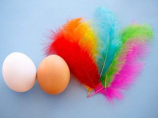Two different colored eggs with multicolors feathers on a blue background