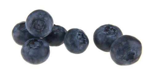 blueberry berries isolated on white background