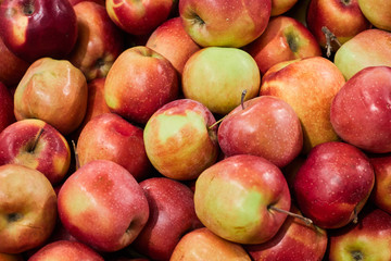 Delicious red apples as background. Close-up shooting