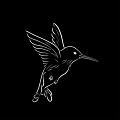 flying colibri sketch one line draw vector illustration