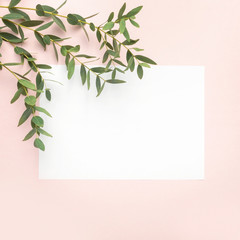 Paper blank,  eucalyptus branches on pastel pink background. Flat, top view, copy space
