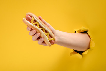 Hand holding a hot dog