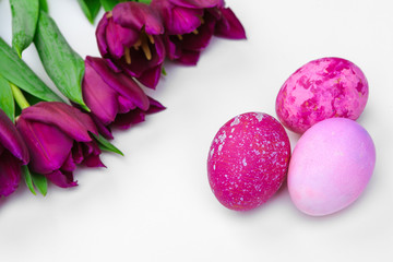 Easter eggs with tulips flowers on white background