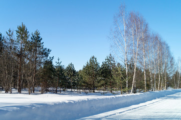 Landscape with expensive between birches at winter length of time