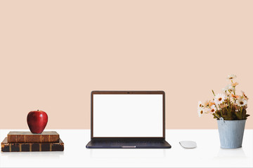 Workspace with modern desktop computer, office supplies flower plant at home or studio. Mock up