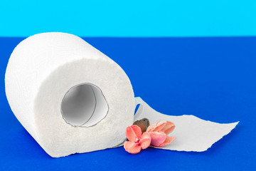 toilet paper rolls with natural flowers close up