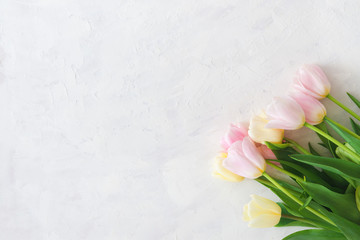 Obraz na płótnie Canvas Spring background. Pink tulips on white background. Top view, copy space