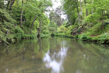 woodland river