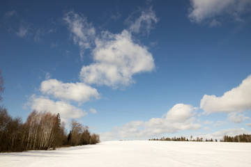 Sunny winter landscape of forest and field in the snow