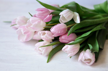 Fototapeta na wymiar Delicate white and pink tulips on a white background