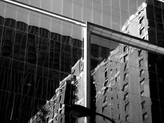 reflection in a glass building