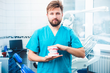 Dentist in blue uniform holding teeth model