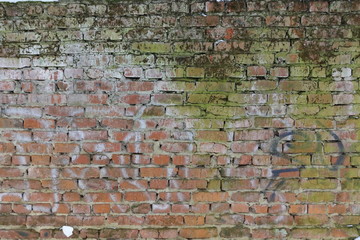 Brick wall with moss growing out of it