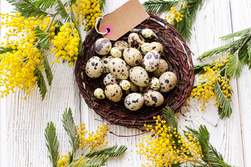 Easter eggs and Mimosa flower on a wooden backgraund. Space for text. - Image