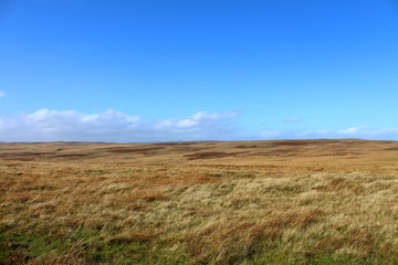 field and blue sky