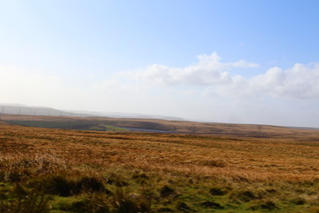 Fototapeta premium landscape with wheat field and blue sky