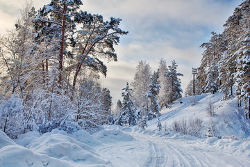 deep white snow in winter forest