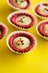 Red cheese tart, shot on isolated background.