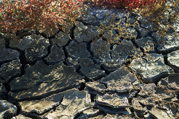 The earth cracked from the drought