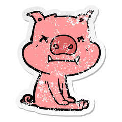 distressed sticker of a angry cartoon pig sitting