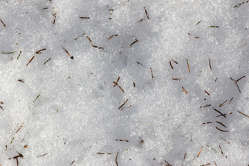 needles and branches Christmas tree on snow background