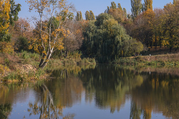 Fototapeta na wymiar Beautiful autumn landscape in a beautiful park. Seasonal background for your design. Stock photo