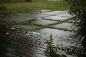 blurred rain background