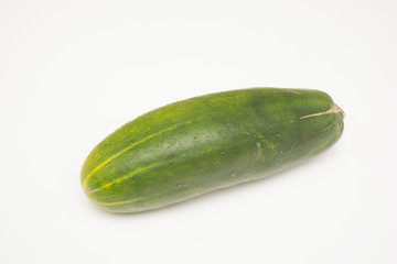 Fresh cucumber, Cucumis sativus