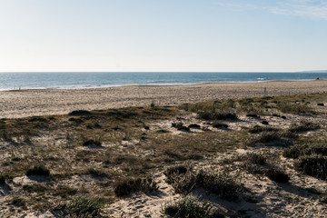 Fototapeta na wymiar Winter day in a Portuguese beach, Algarve.