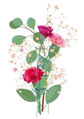 Bouquet of carnation schabaud, pink, red flowers, twigs gypsophile, eucalyptus populus, white background, card for Mother's Day, Victory day. Digital draw, illustration in watercolor style, vector