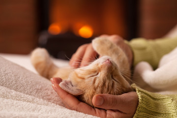 Woman hands caressing a sleeping kitten in front of the fireplace