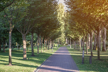 Beautiful garden in the park. Path in nature for jogging and recreation. Stock photo